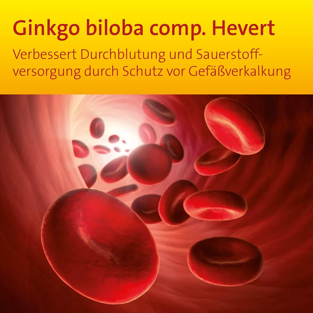 Vital ins hohe Alter mit Ginkgo biloba comp. Hevert